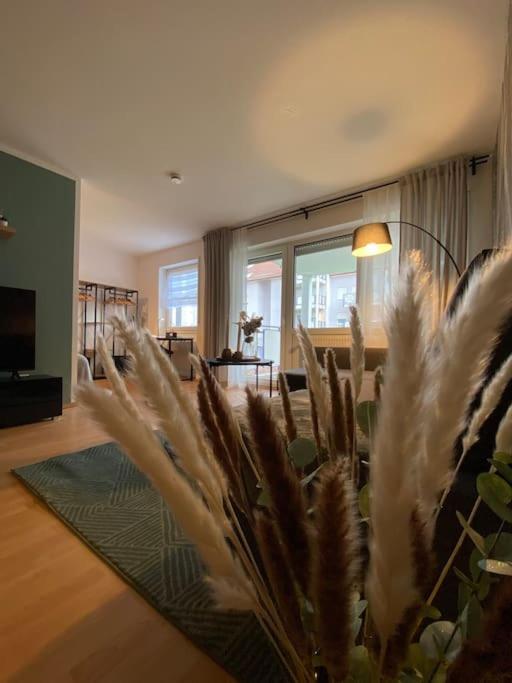 Design, Hochschule, Wildpark, Zentral, Waipu Tv, Netflix Apartman Pforzheim Kültér fotó