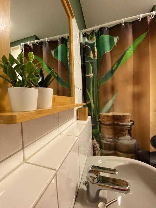 Design, Hochschule, Wildpark, Zentral, Waipu Tv, Netflix Apartman Pforzheim Kültér fotó